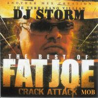 Fat Joe Crack Attack: Best of Fat Joe (Mixed By DJ Storm)