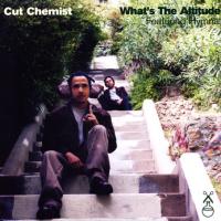 Cut Chemist What`s The Altitude (Vinyl)