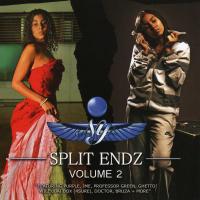 tension Split Endz Vol.2 (Bootleg)