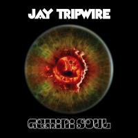 Jay Tripwire Gemini Soul