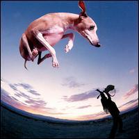 Paul Gilbert Flying Dog