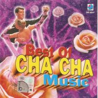 Various Artists Best Of Cha Cha Music
