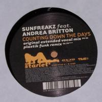 Andrea Britton Counting Down The Days (Vinyl)