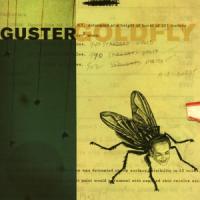 Guster Goldfly