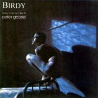 Peter Gabriel Birdy