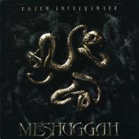 Meshuggah Catch Thirtythree