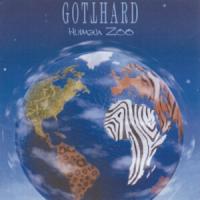 Gotthard Human Zoo