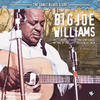 Big Joe Williams The Sonet Blues Story