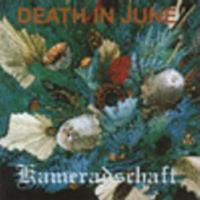 Death in June Kameradschaft