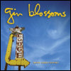 Gin Blossoms Major Lodge Victory