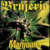 Brujeria Marijauna