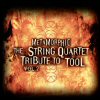 String Quartet Metamorphic: Tribute To Tool, Vol. 2