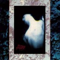 Skinny Puppy Mind: The Perpetual Intercourse