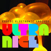Roy Davis Jr. Ultra Nice - Exotic Electronic Grooves