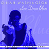 Dinah Washington Low Down Blues