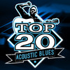 John Lee Hooker Top 20 Acoustic Blues