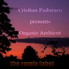Cristian Paduraru Organic Ambient (Progressive Chillout Music Album for Christmas Season)