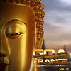 S-Range Goa Trance (Progressive Tracks), Vol. 17