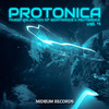 Ultravoice Protonica, Vol. 4