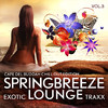 Oliver Backens & Stefan Gruenwald Springbreeze Exotic Lounge Traxx, Vol. 3 (Cafe Del Buddah Chill Out Edition)