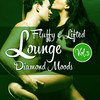 Nardis Fluffy & Lifted Lounge Diamond Moods, Vol. 3 (A Beatism` Lounge Deluxe Music Selection)