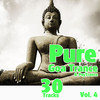 Meeloo Pure Goa Trance, Vol. 4