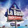 Binum La Bush Temple of House (The Next Level mixed by Binym and Alex Ostyn)