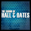 Daryl Hall & John Oates The Sound of Hall & Oates