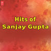 Sonu Nigam Hits of Sanjay Gupta