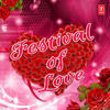 Sonu Nigam Festival of Love