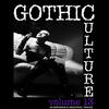 Feindflug Gothic Culture, Vol. 13 - 25 Darkwave & Industrial Tracks