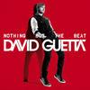 David Guetta Feat. Chris Willis Nothing But the Beat