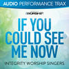 Integrity Worship Singers If You Could See Me Now (Audio Performance Trax) - EP