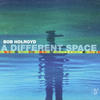 Bob Holroyd A Different Space
