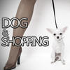 Blister Dog & Shopping