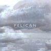 Pelican Fire In Our Throats Will Beckon the Thaw