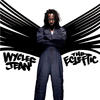 Wyclef Jean The Ecleftic -2 Sides II a Book