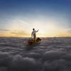 Pink Floyd The Endless River (Deluxe Edition)