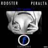 Dj Rooster And Sammy Peralta Me Gusta - Single