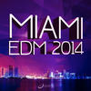 Pete Tha Zouk Miami EDM 2014