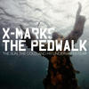 X Marks The Pedwalk The Sun, the Cold and My Underwater Fear
