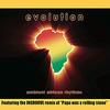 Bushman Ambient African Rhythms (Evolution)