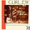 Curlew Fiddle Music of Shetland & Beyond