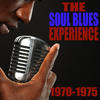 Ike & Tina Turner The Soul Blues Experience 1970-1975