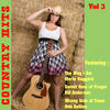 Lee Greenwood Country Hits, Vol. 3