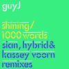 Guy J Shining / 1000 Words Remixes