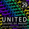 George Acosta United Colors of House, Vol. 29
