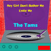 Tams Hey Girl Don`t Bother Me - Single