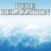 Calm Meditation Pure Relaxation