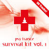 Interlipse Psy Trance Survival Kit, Vol. 1